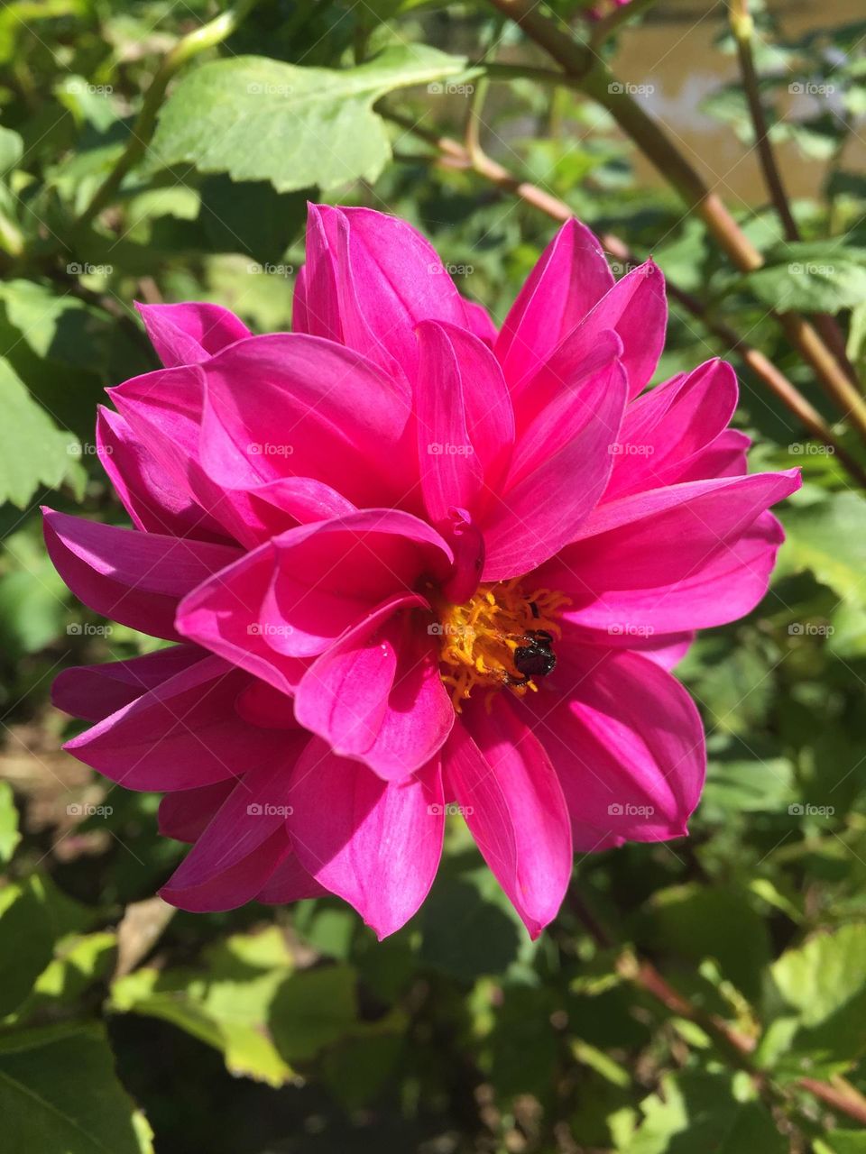 Beauty is in your eyes