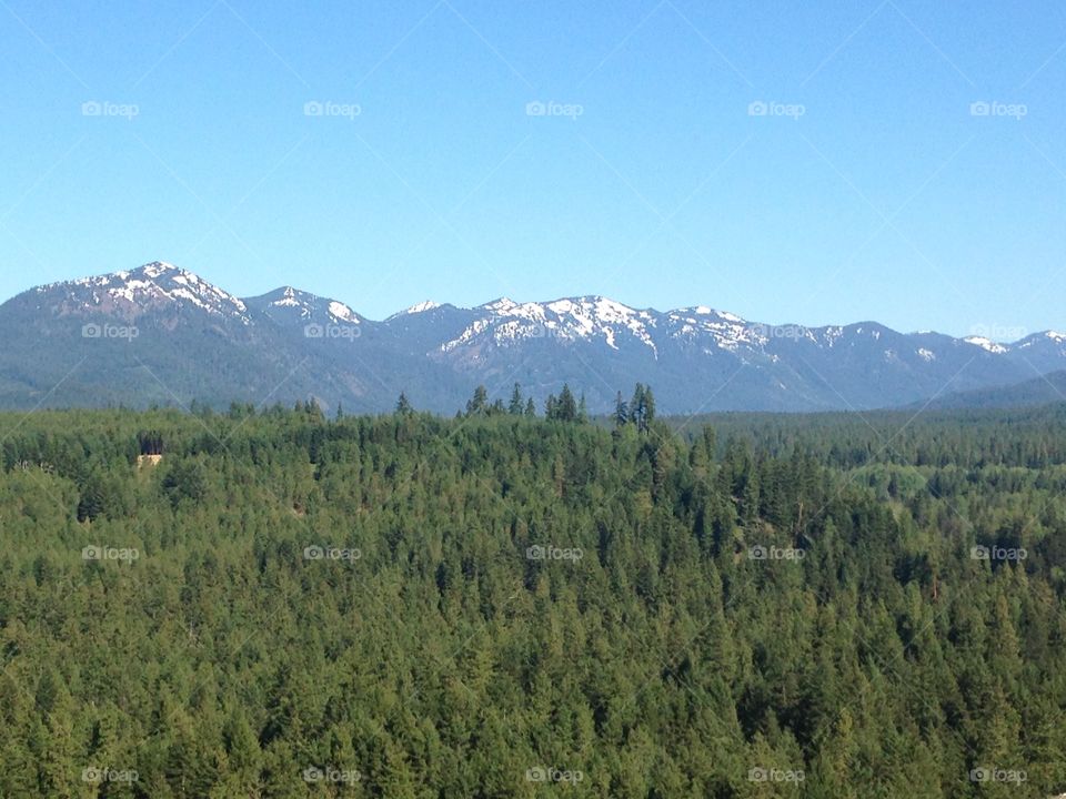 Mountain range and forest near Roslyn, Washington.