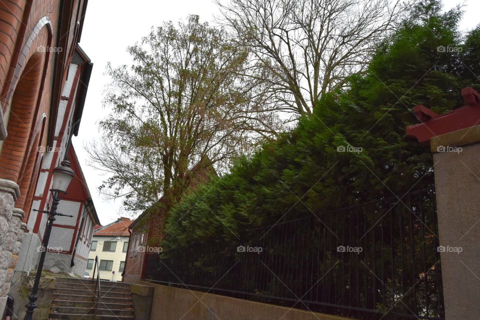 House, Building, No Person, Architecture, Tree