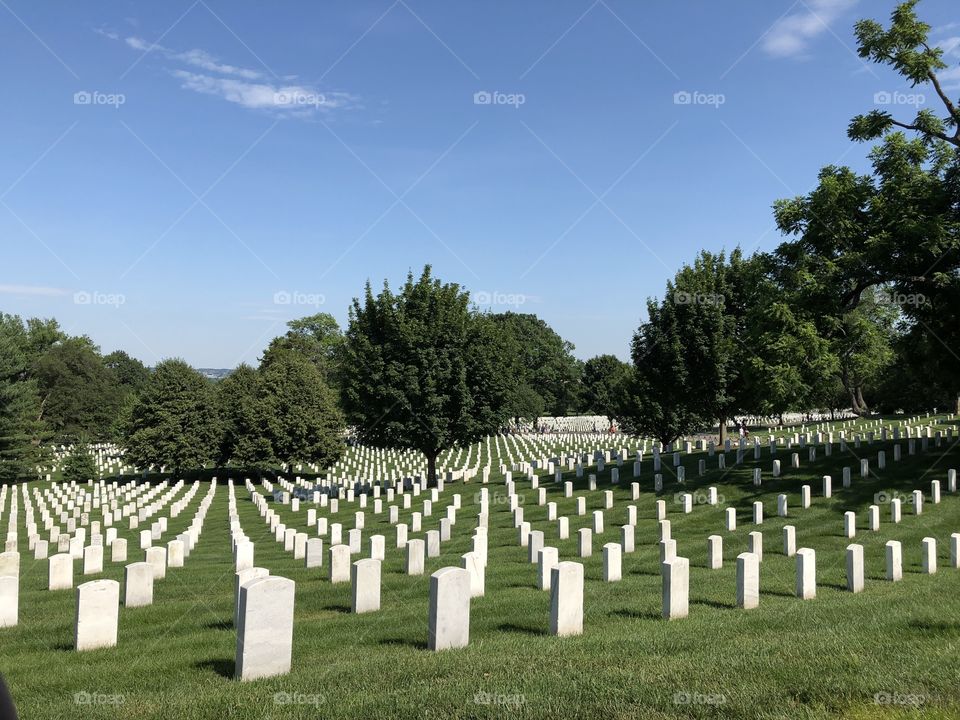 Arlington National Cemetery  