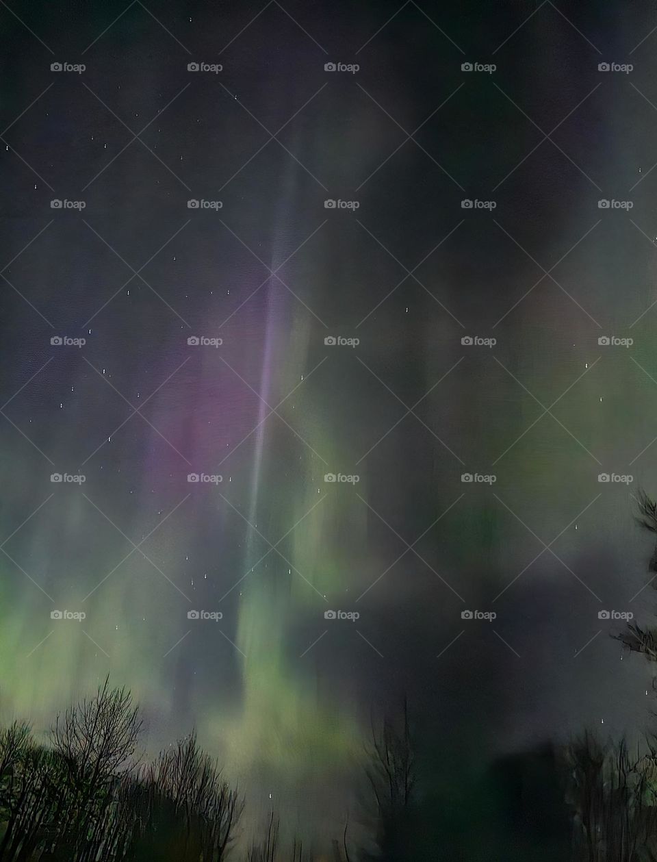 Northern Lights in Northern Alberta