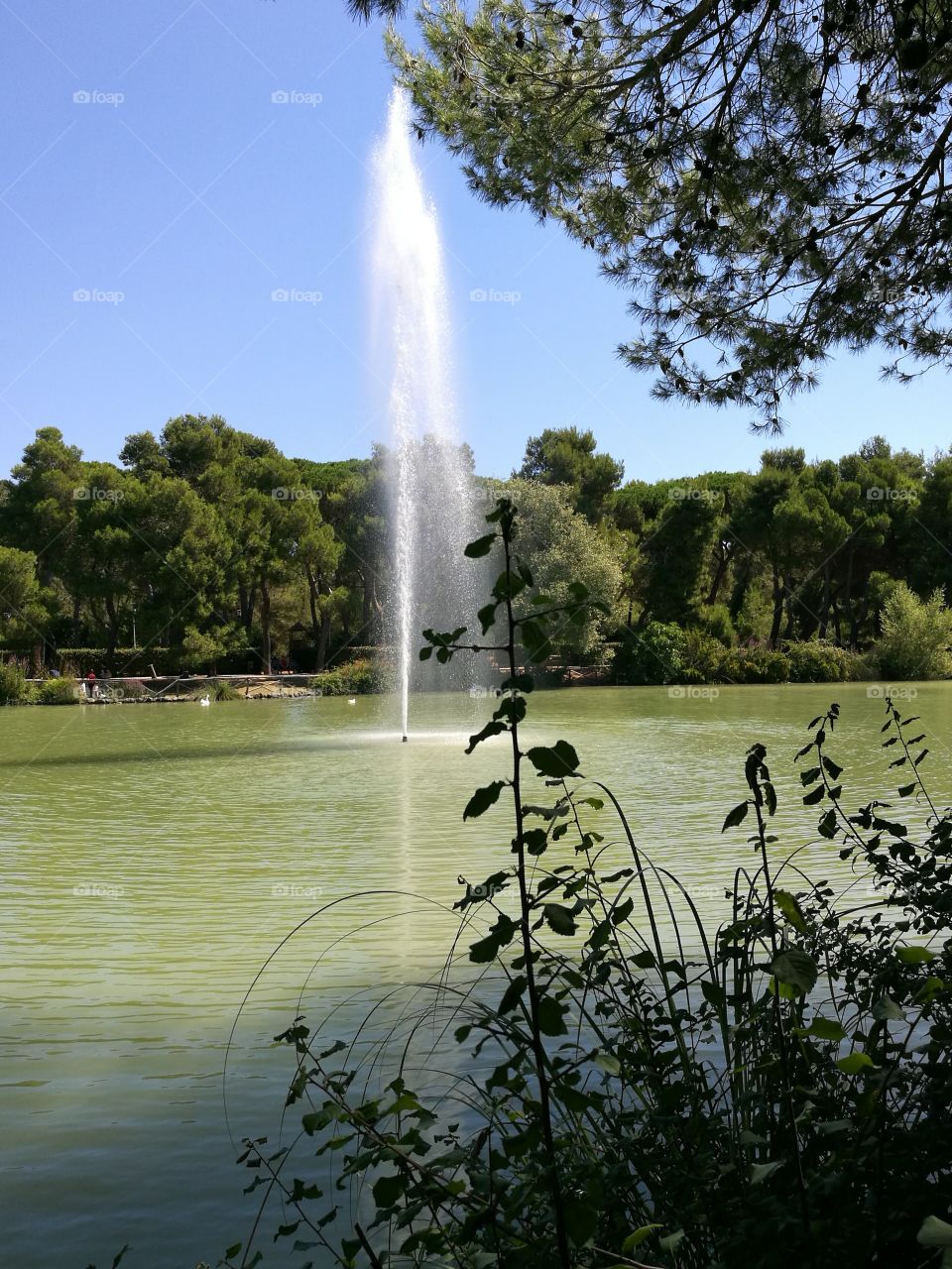 Fountain, lake.