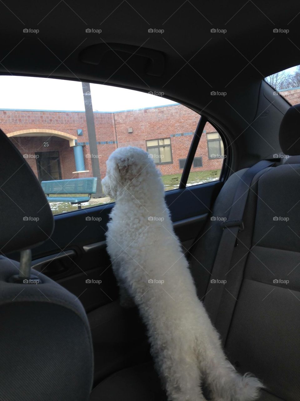 Waiting for the school day to end