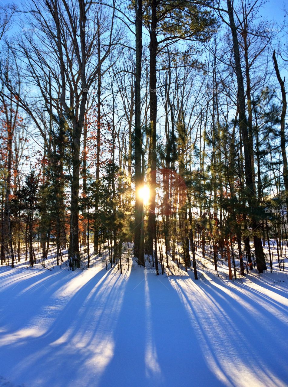 Sun peeking through the trees