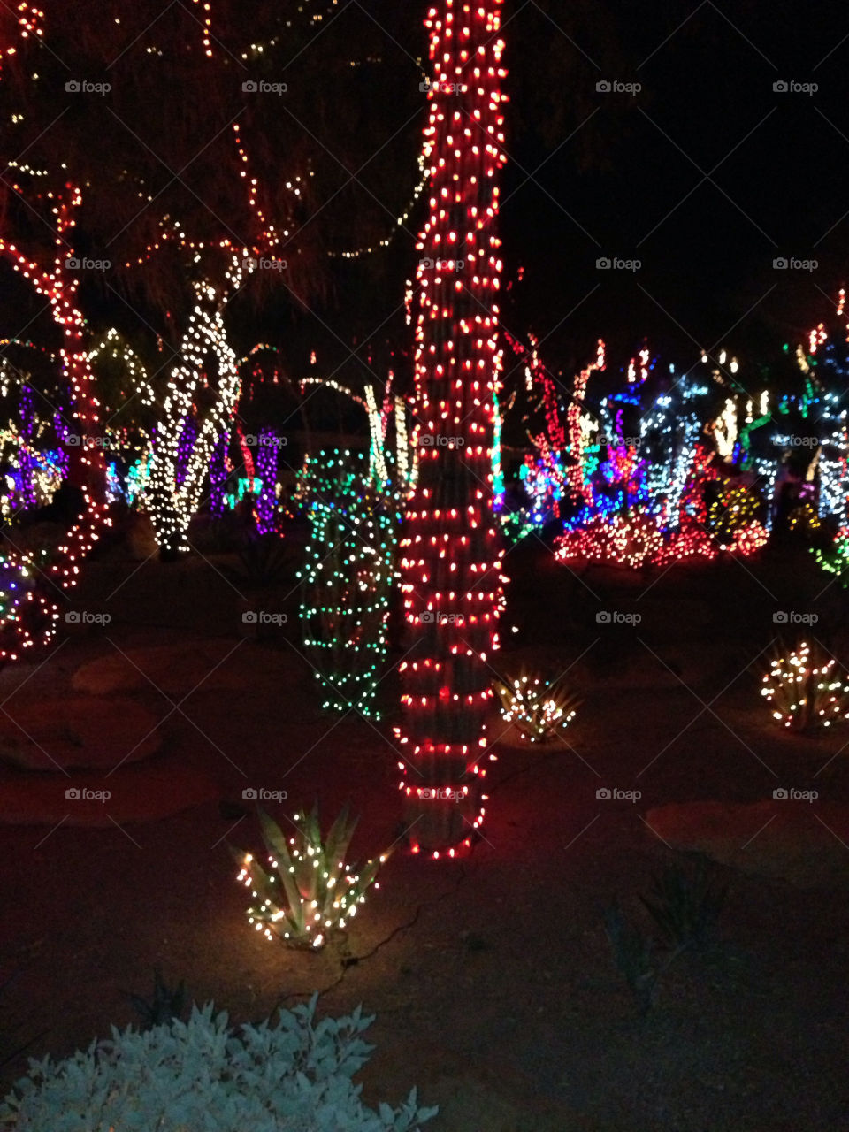 ethel m factory christmas christmas lights ethel m by snook911