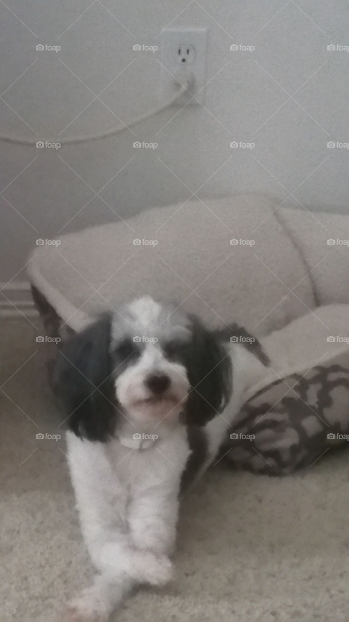 Only half ready to get up.