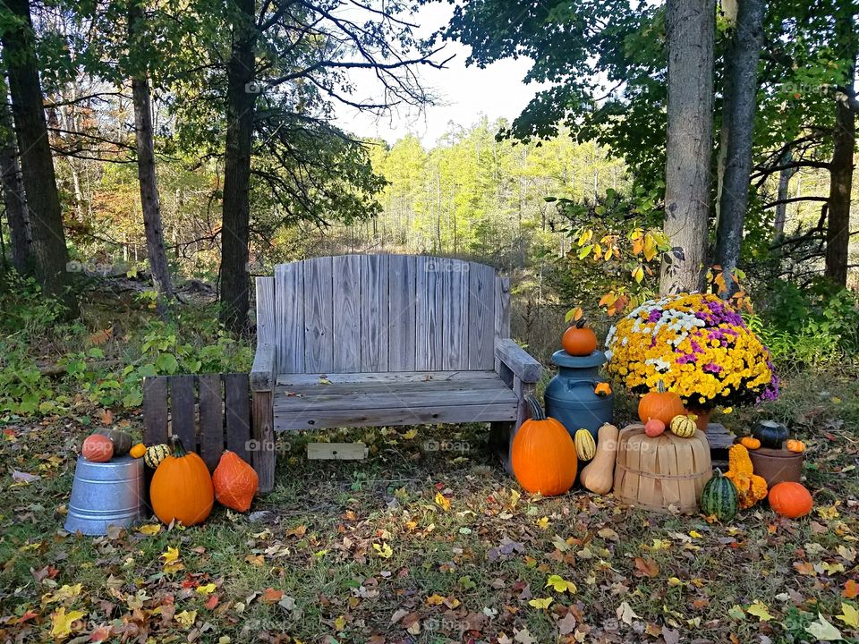 Fall Scene