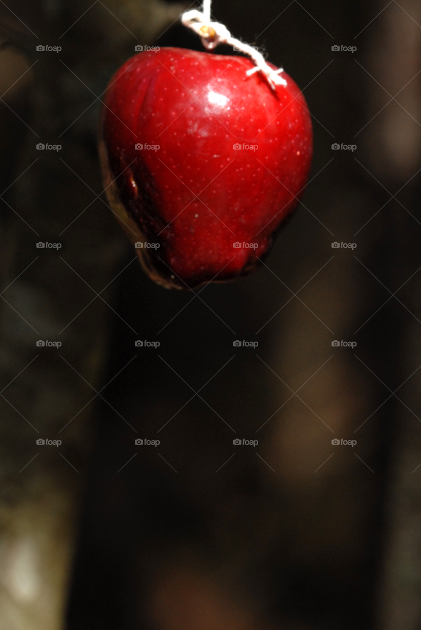 girl red apple bobbing by lightanddrawing