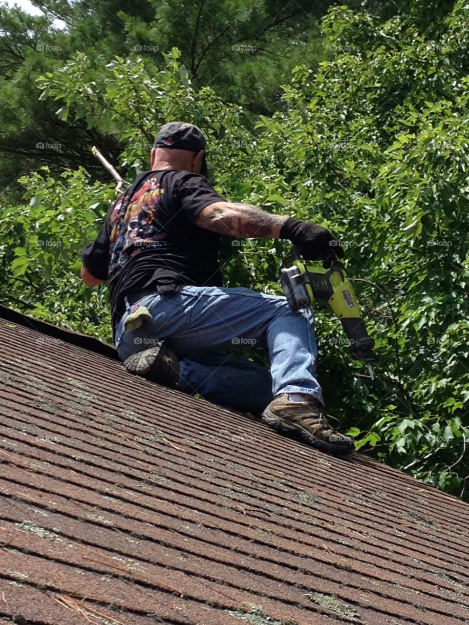 Tree trimming, chainsaw & tree tools for pruning.