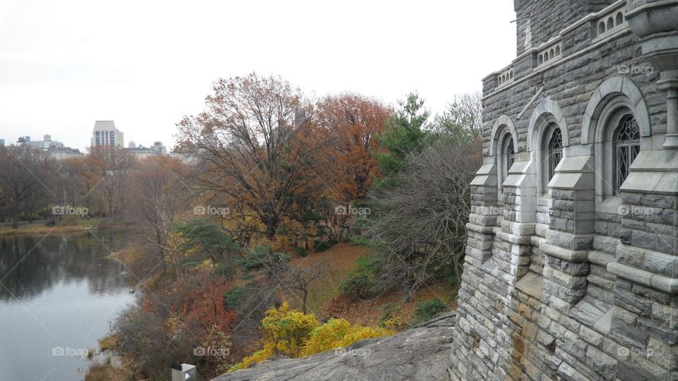 Fall in Central Park