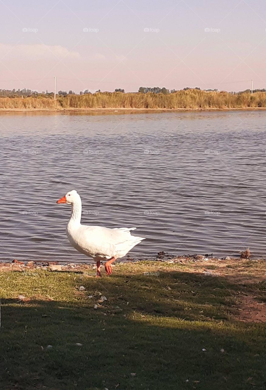 en zona rural