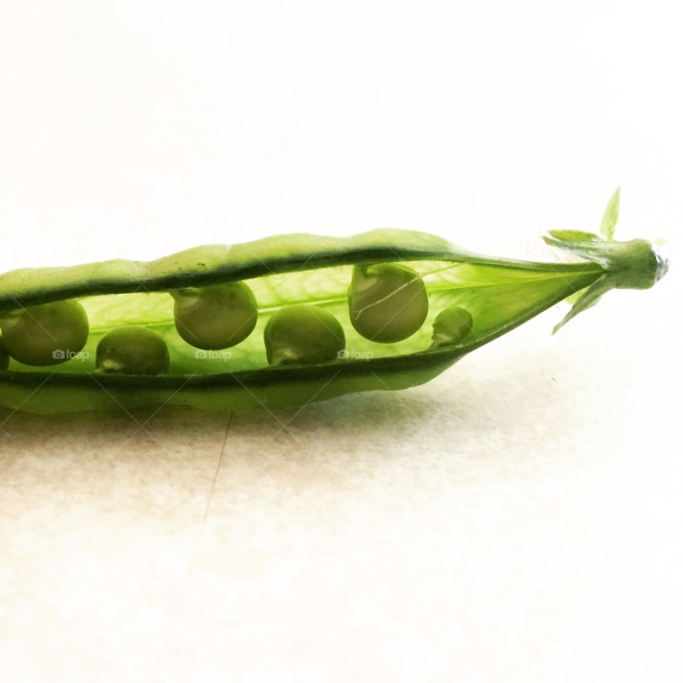 Fresh Peas . Garden fresh peas in a pod. 