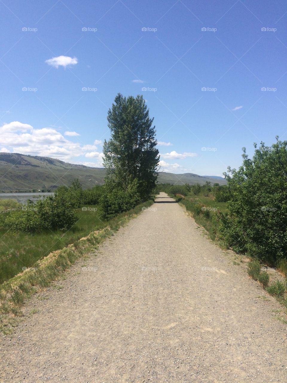 Scenic wilderness hike 