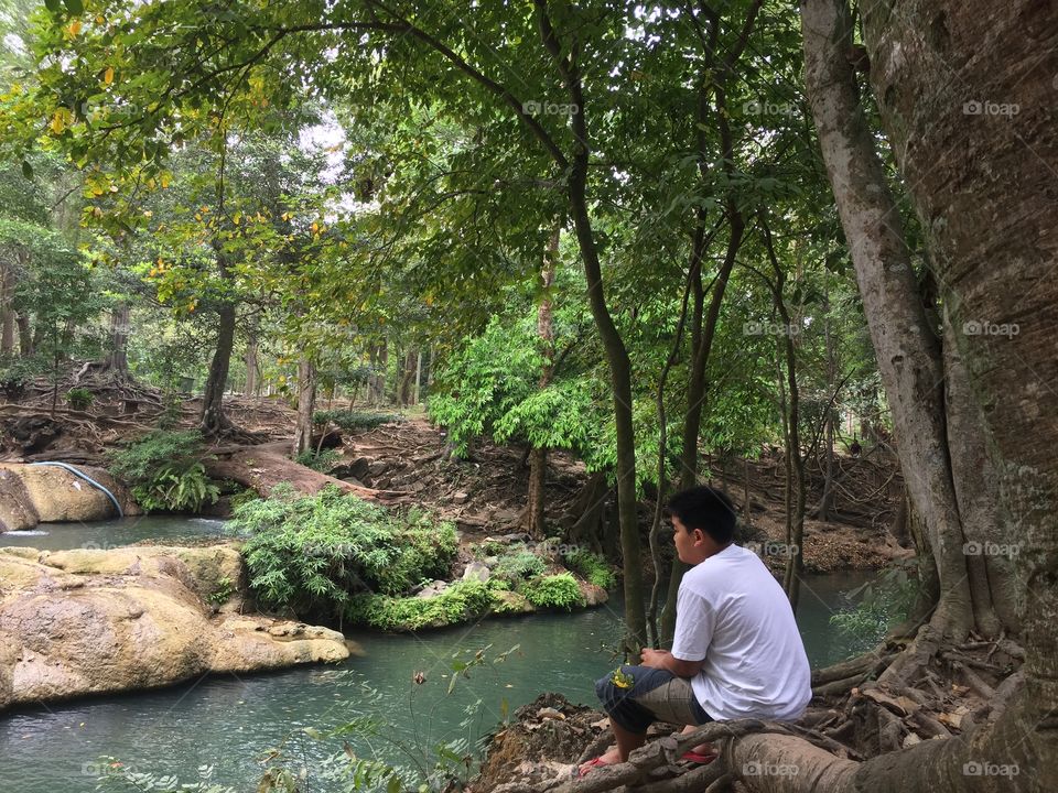 The water and tree