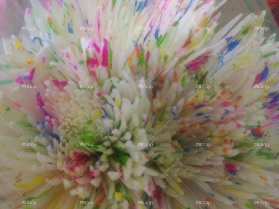 tie-dye flower