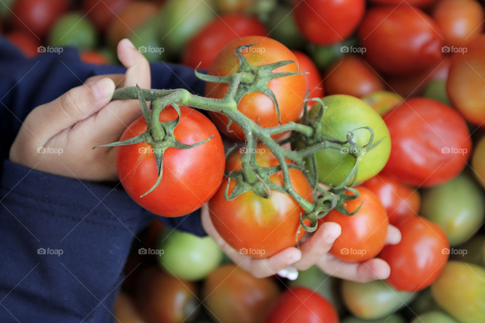 red tomato