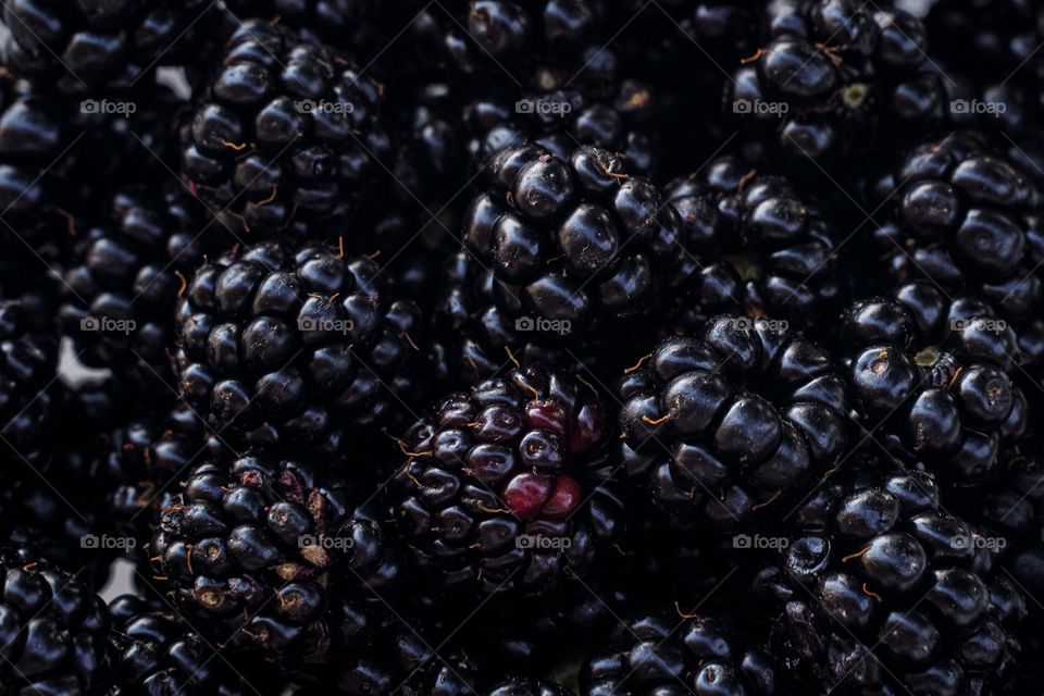 Background of berries 