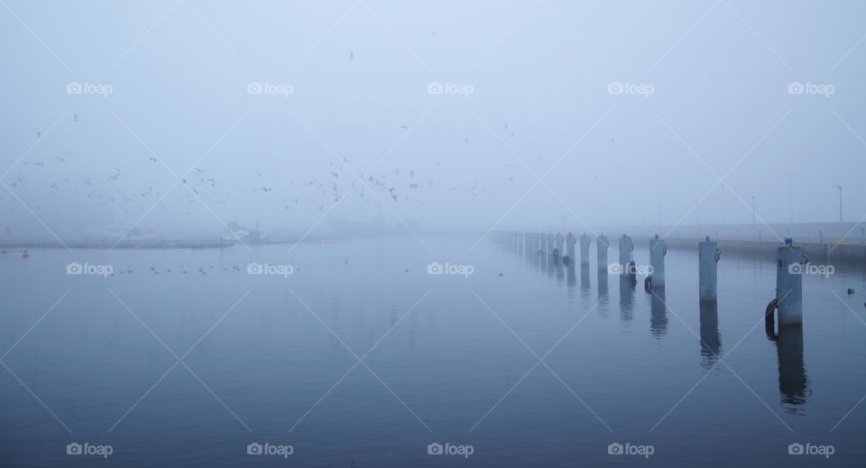 Fog, Landscape, Lake, Winter, Weather