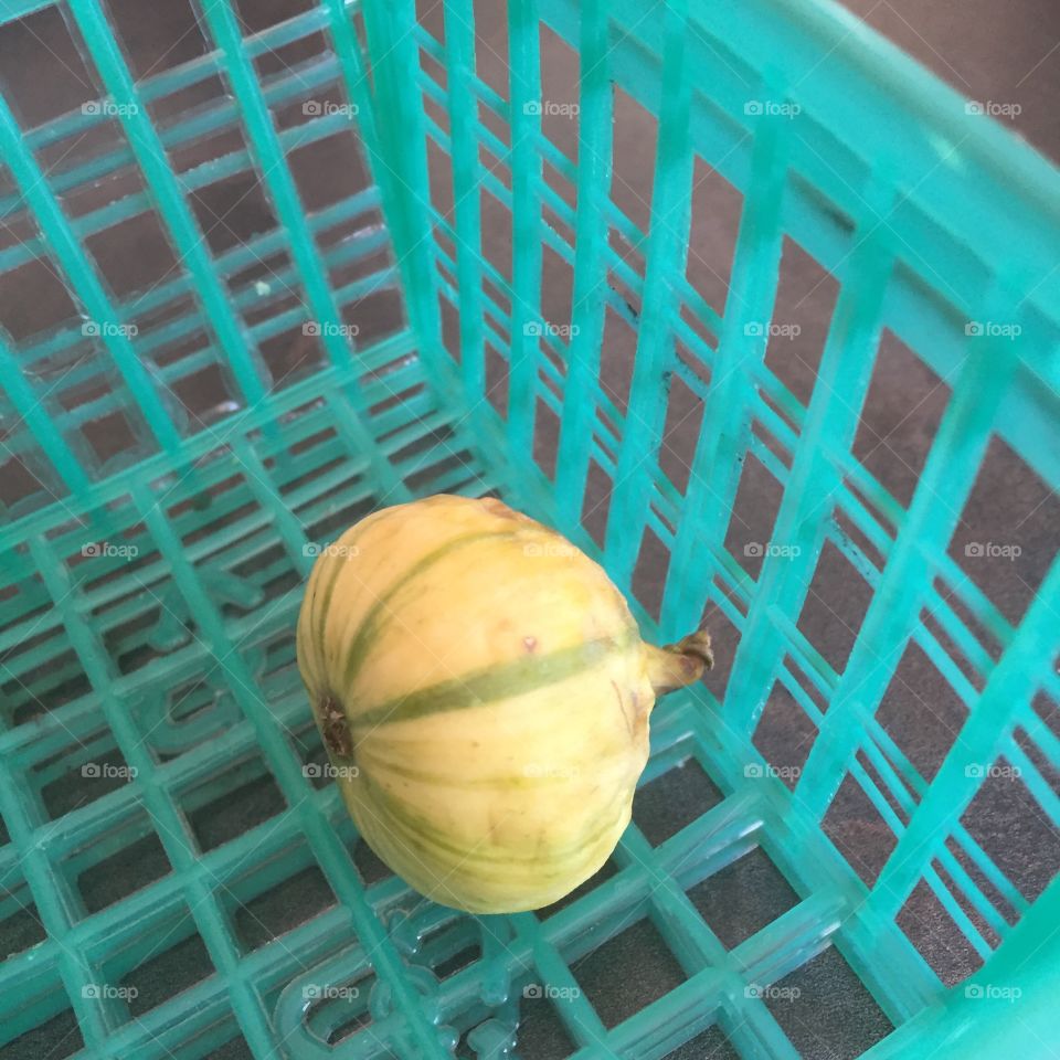 Candy stripe fig in green basket