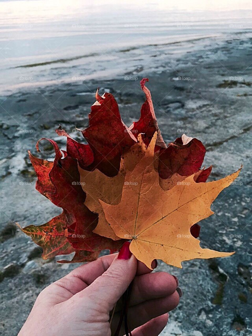 Cottaging . Cottage for my birthday. Autumn colours were beautiful. Leaves were spectacular