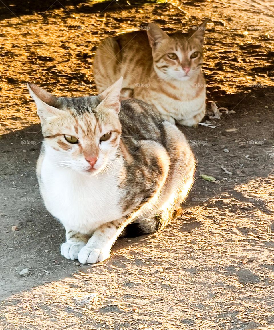 they are thinking deeply