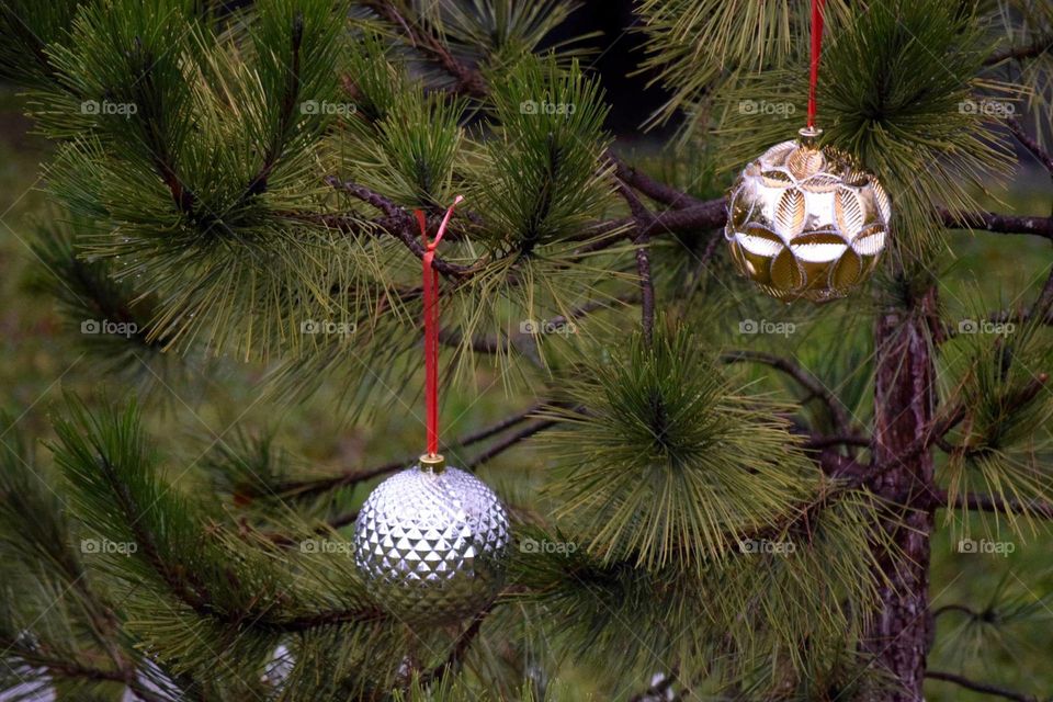 tree christmas ornaments