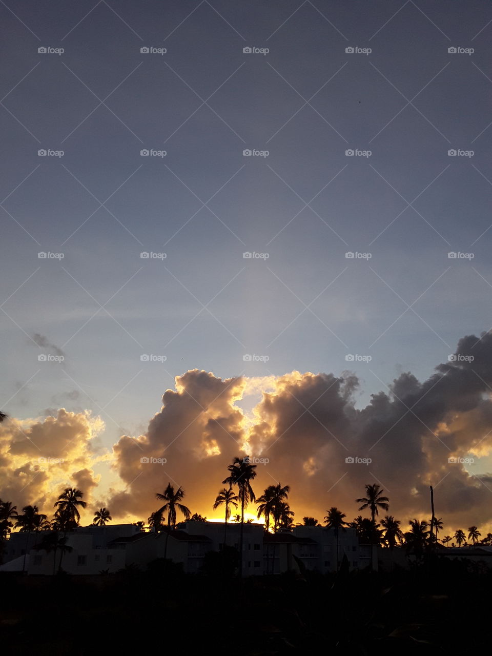 dawn in the tropics amazing colors. golden clouds against the cold morning sky evoke an amazing feeling. beautiful creations