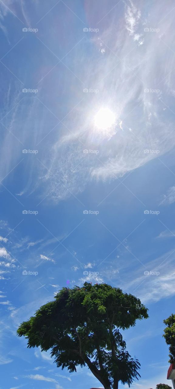 beautiful view of the forest