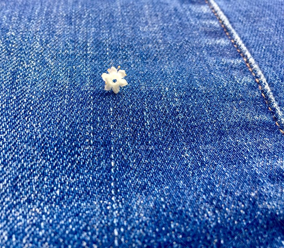 Tiny flower