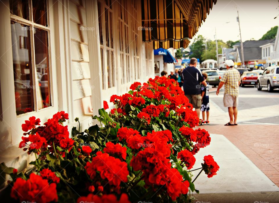 The street colors 