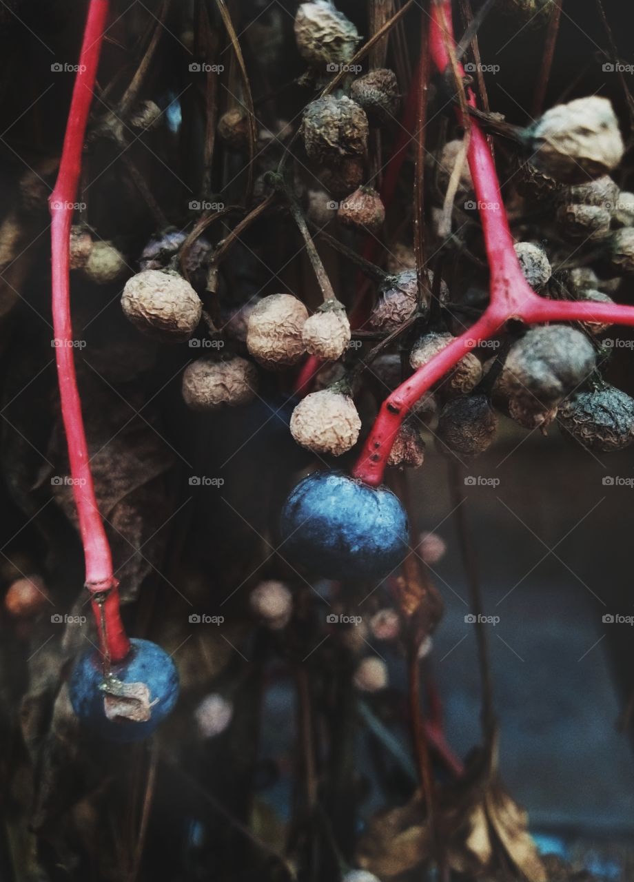 I don't know how the name