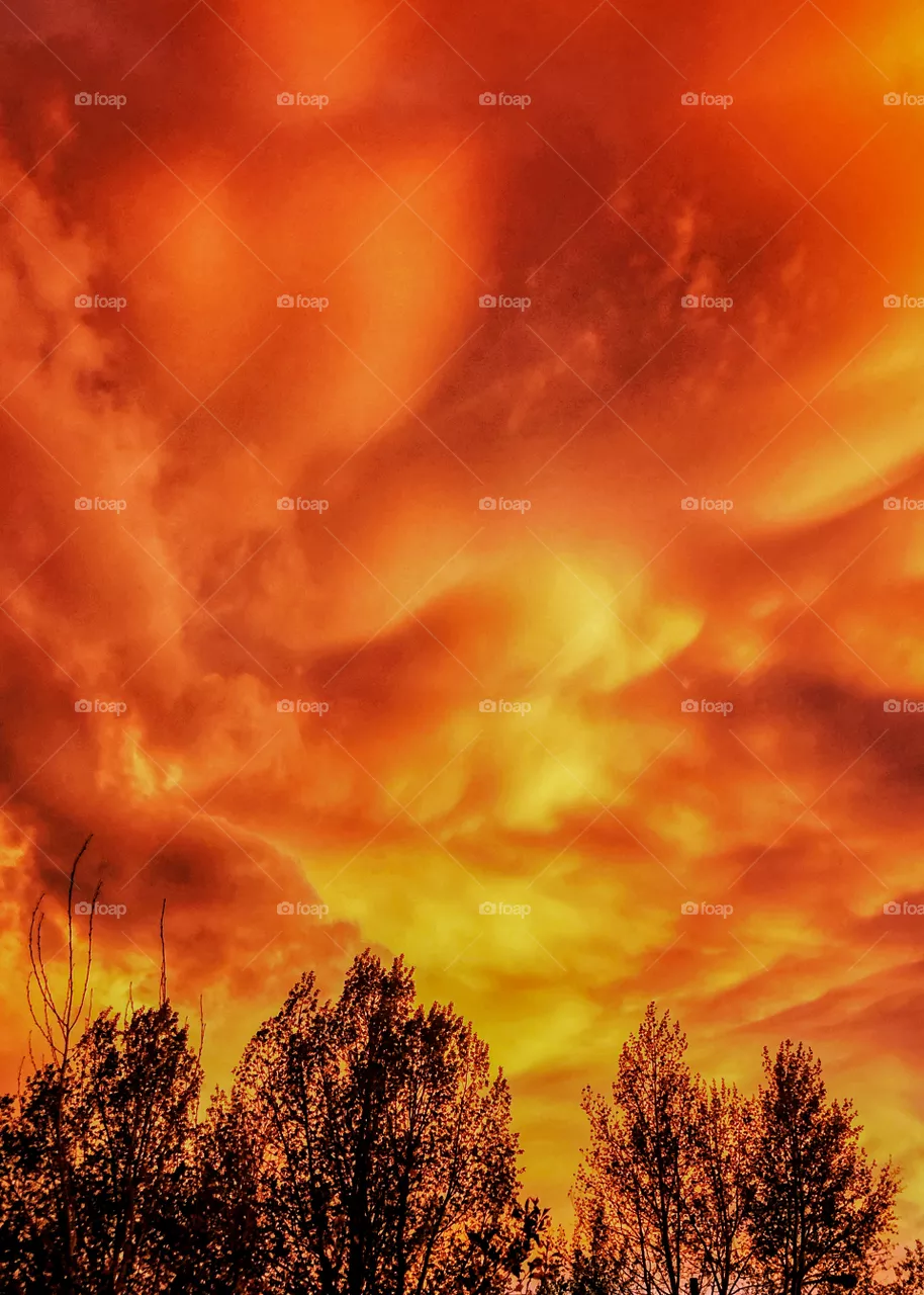 Unearthly Skies