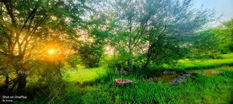 nature's Beauty 😍