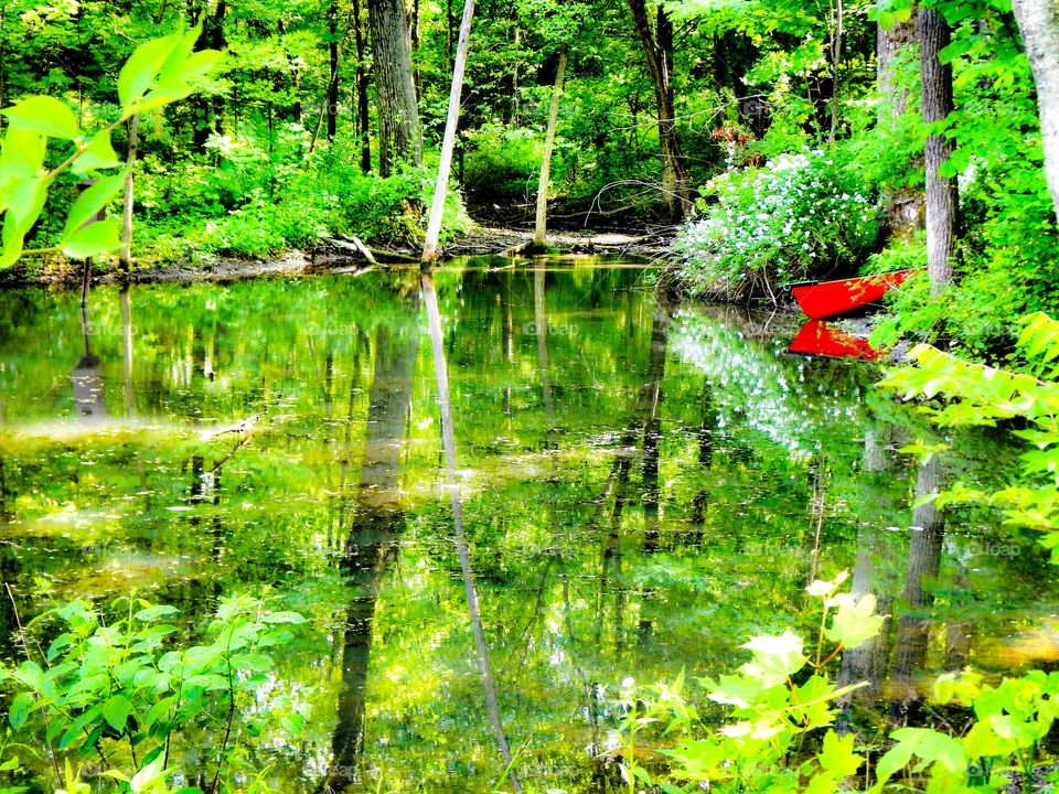 Beautiful summer lake views. 