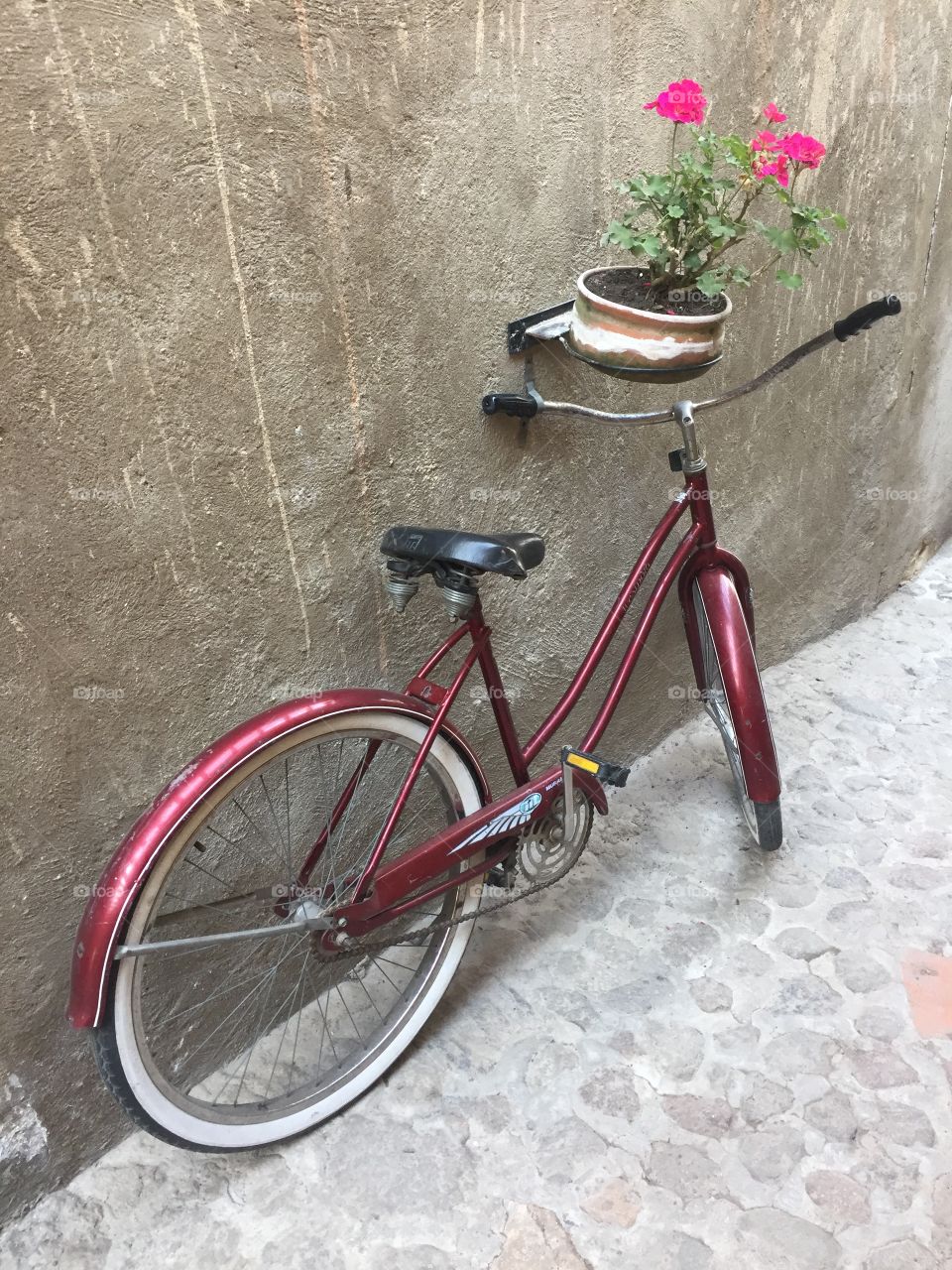 Red bicycle   Bicicleta roja 