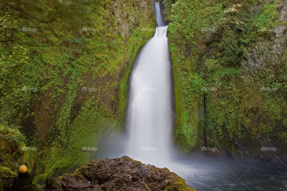 Wahclella Falls in the Columbia River Gorge Oregon