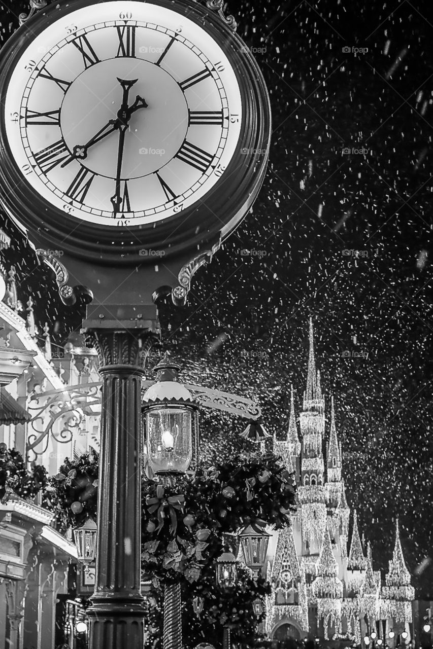 where dreams come true