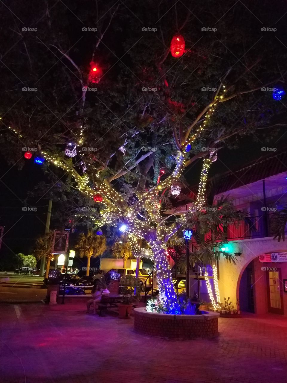 tree with lights