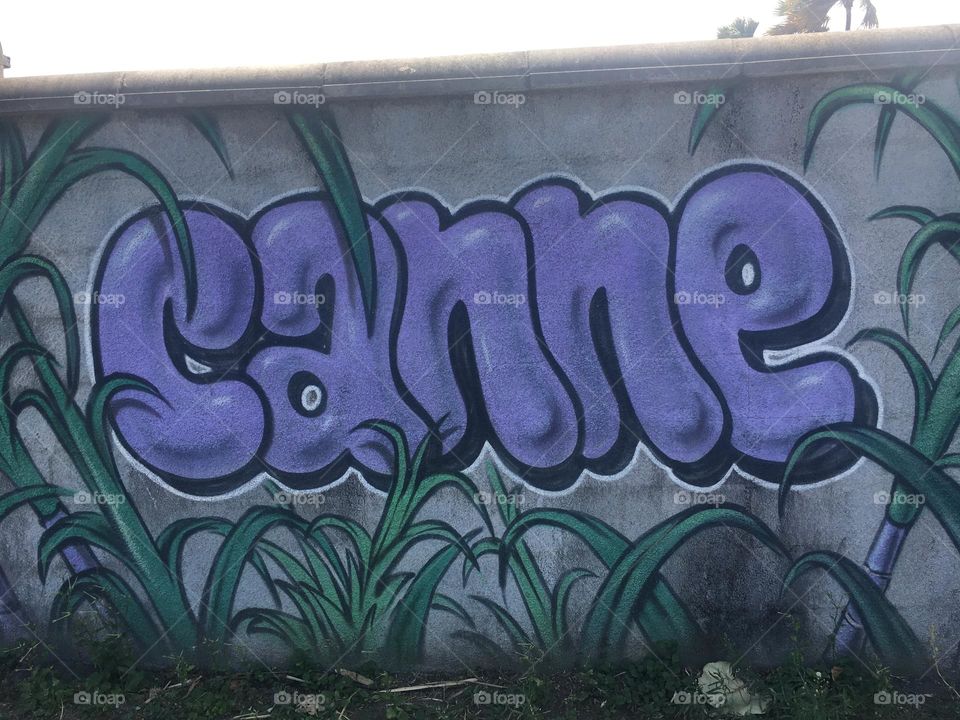 Street art Canne