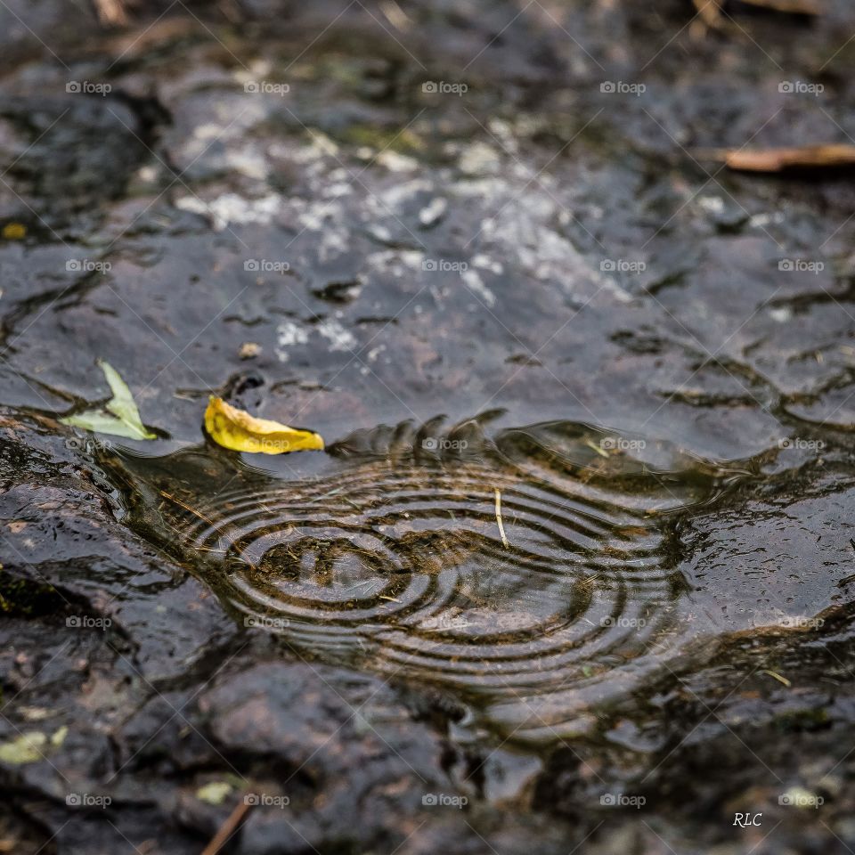 Shooting raindrops . The waves of time are in everything you see...
