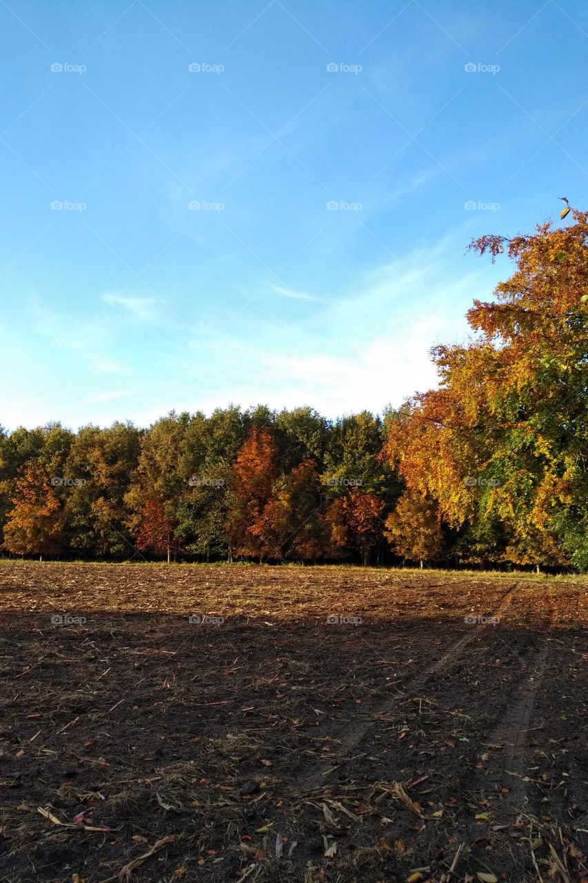 Bildschirmhintergrund
