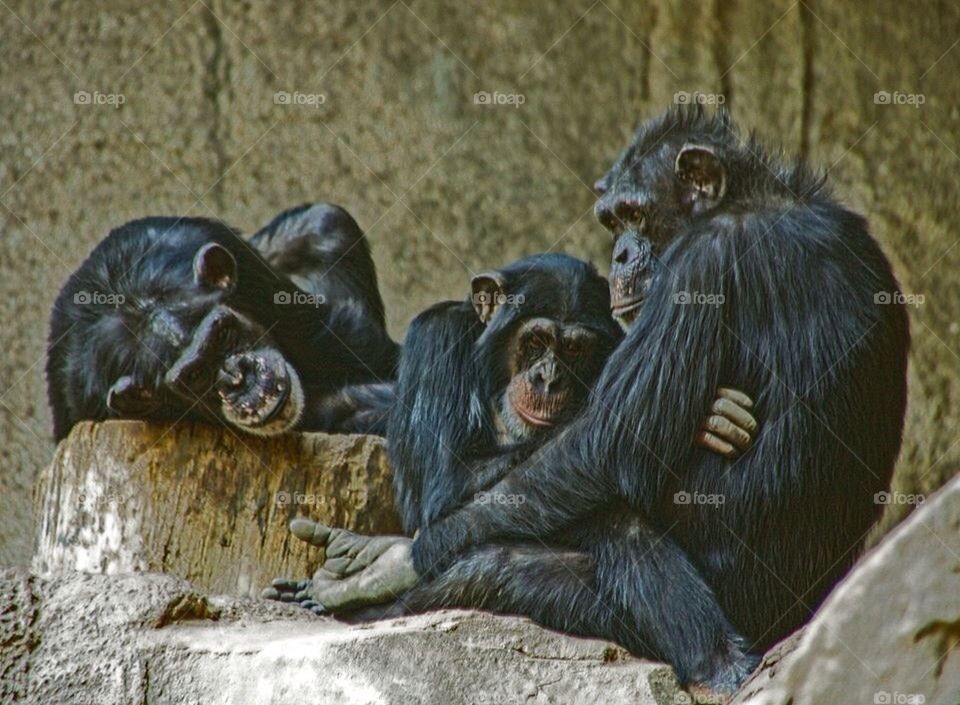 Family nappy time