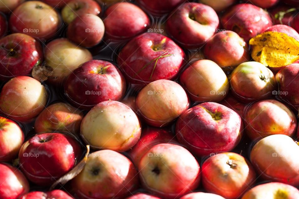 Full frame of apples on water