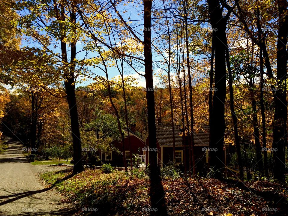 A large house in middle of the trees