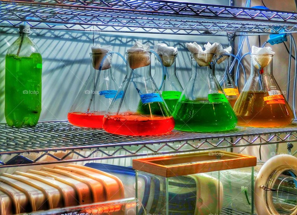 Biotechnology science research