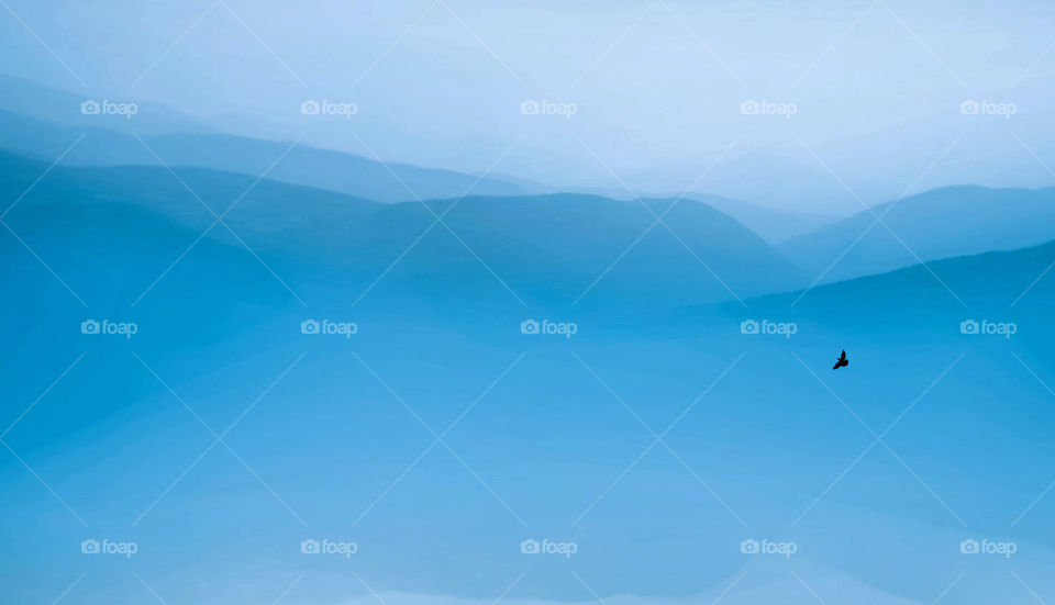 Travel around the world