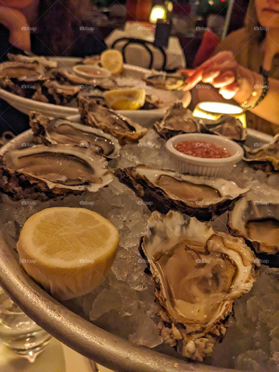 oysters