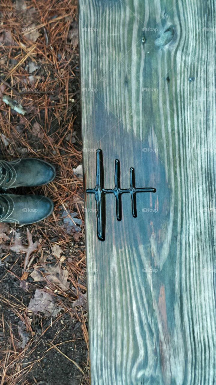 Hiking on trail