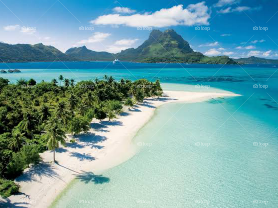 The Beautiful Nature Vibes