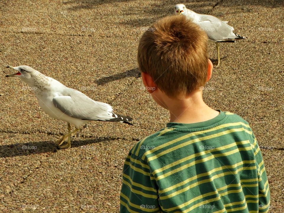 Boy Feeding Birds